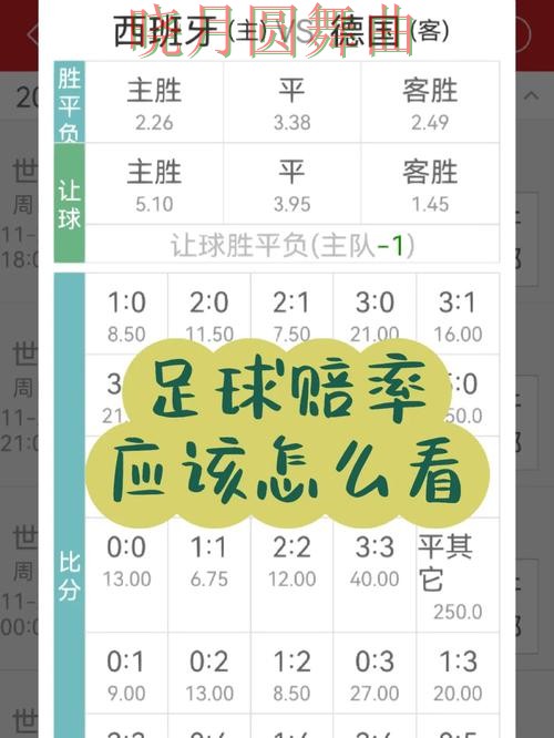 世界杯投注登录赔率变化怎么看更合理一文看懂