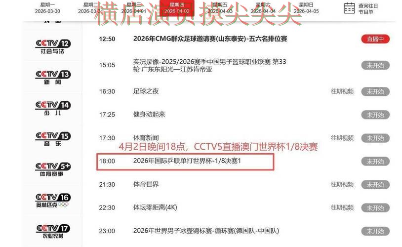 世界杯买球平台访问方式直播怎么看？实战拆解给你答案（世界杯高清直播）