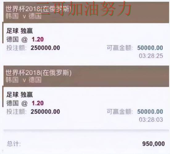 世界杯直播背景下的世界杯投注平台合集汇总与速度测试直播解析